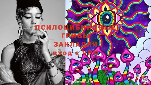 тгк Верея